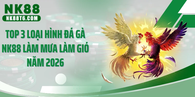 Top 3 loại hình đá gà NK88 làm mưa làm gió năm 2026